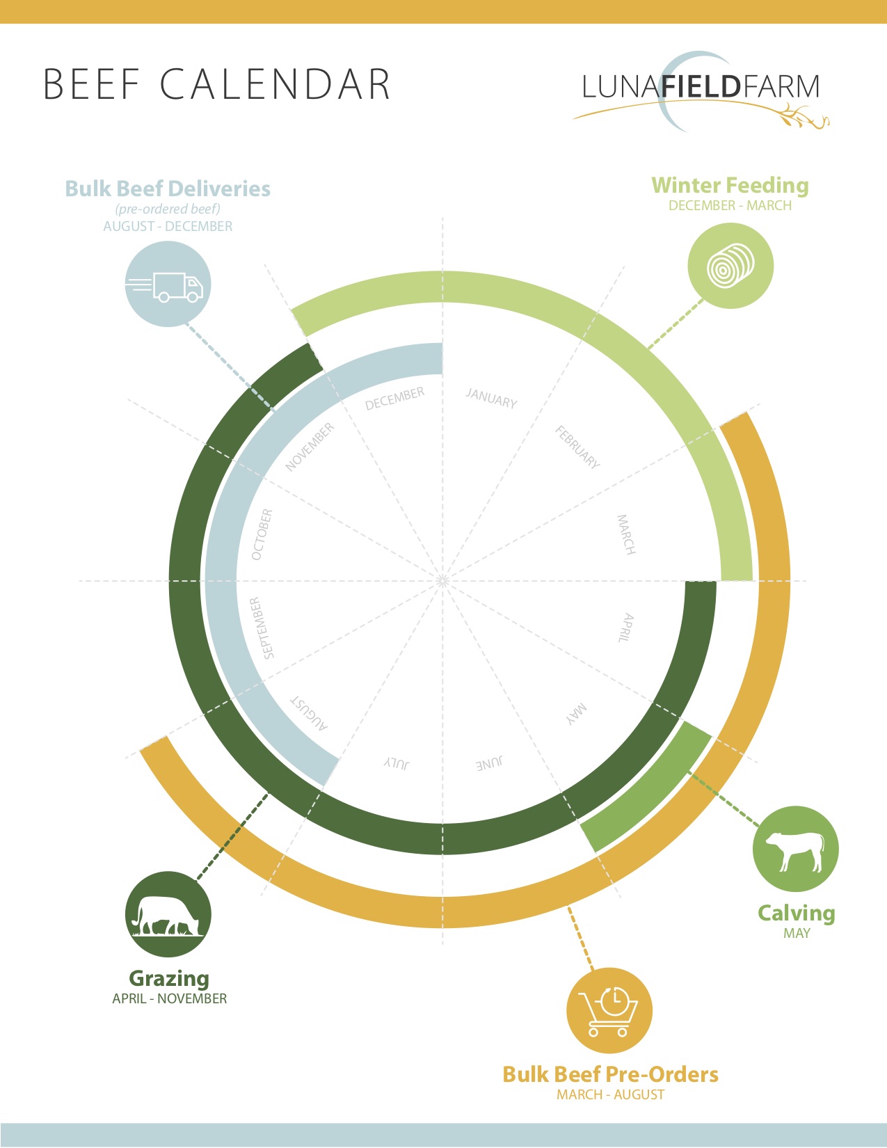 beefcalendar_infographic